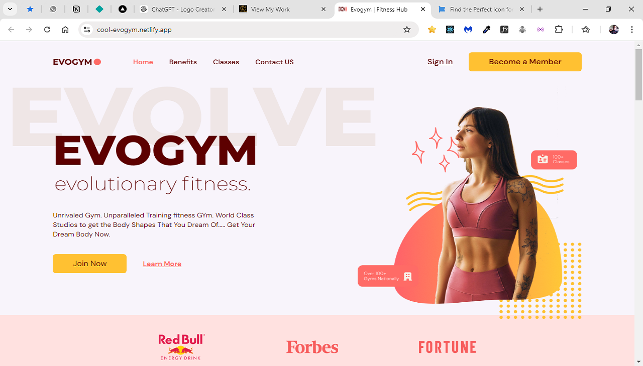 Evo Gym Project Image